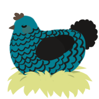 Angler, a sea and sable chicken with a lace pattern
