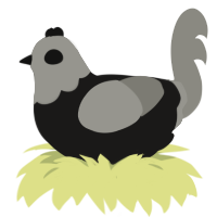 void eyes, a sable and ash chicken with a head pattern