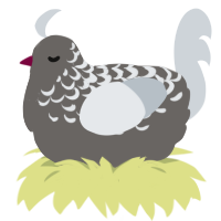 (unnamed), a grey and mist chicken with a half-lace pattern