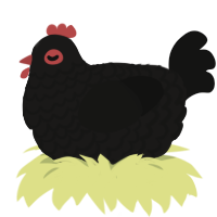 (unnamed), a sable and black chicken with a lace pattern