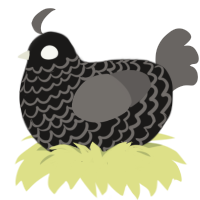 A sable and grey chicken with a lace pattern