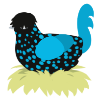 velvet room, a black and cerulean chicken with a speckle pattern