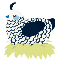 A white and tumblr chicken with a lace pattern