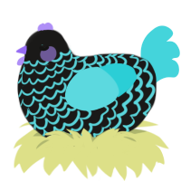 Ptomely, a sable and aqua chicken with a lace pattern