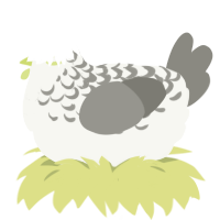 Limestone, a white and ash chicken with a half-lace pattern