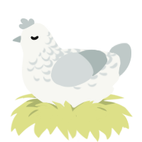 Kanade, a white and silver chicken with a half-lace pattern