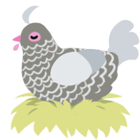 Mini dusty, a ash and mist chicken with a lace pattern