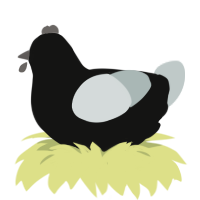 Pestilence, a black and silver chicken