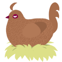 Mud, a brown chicken with a double-lace pattern