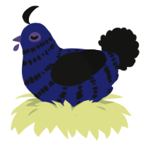A navy and black chicken with a bar pattern