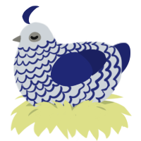 kitchenware, a mist and navy chicken with a lace pattern