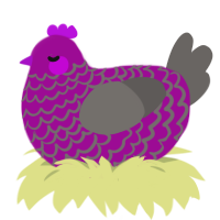 Clip, a plum and grey chicken with a lace pattern
