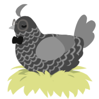 Dorothy, a maroon and ash chicken with a lace pattern