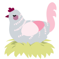 Pinkie Winkie, a mist and rose chicken with a half-bar pattern