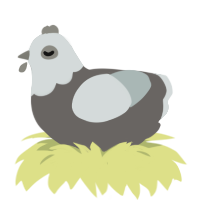 Monsieur Bones, a grey and silver chicken with a head pattern