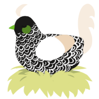 Xbox 720, a sable and cream chicken with a double-lace pattern