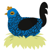 Nutrient Enriched, a sapphire and black chicken with a double-lace pattern
