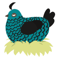 (unnamed), a teal and sable chicken with a lace pattern