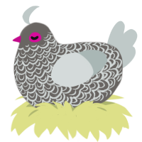(unnamed), a grey and silver chicken with a double-lace pattern