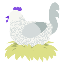 A white and silver chicken with a double-lace pattern