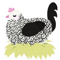 Captain, a white and sable chicken with a double-lace pattern