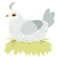 A white and silver chicken with a double-lace pattern