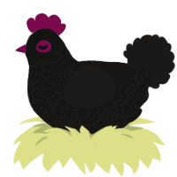 A black and sable chicken with a double-lace pattern