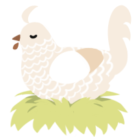 Latte, a cream chicken with a lace pattern