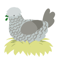 A silver and ash chicken with a lace pattern