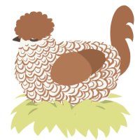mr lace, a white and brown chicken with a double-lace pattern