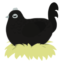(unnamed), a sable and black chicken with a half-lace pattern