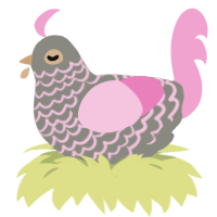 Golden hour, a ash and pink chicken with a lace pattern
