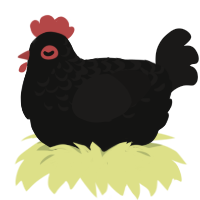 A black and sable chicken with a half-lace pattern