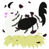Realise, a white and black chicken with a half-bar pattern