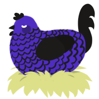 A indigo and sable chicken with a lace pattern