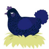 A tumblr and navy chicken with a double-lace pattern