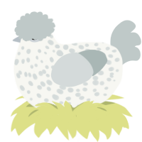 A white and silver chicken with a speckle pattern