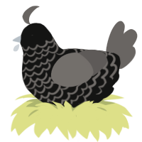 A black and grey chicken with a lace pattern