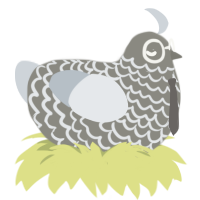 PC Destroyer, a ash and mist chicken with a lace pattern