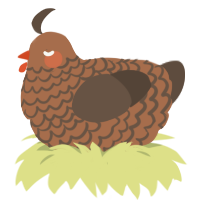 A brown and bark chicken with a lace pattern
