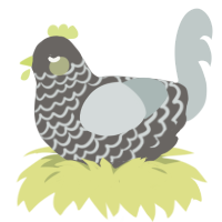 A grey and silver chicken with a lace pattern
