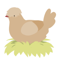 A beige chicken