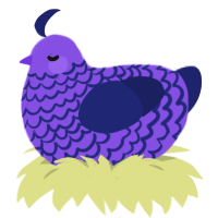 A blurple and navy chicken with a lace pattern