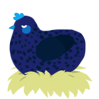 A navy and tumblr chicken with a speckle pattern