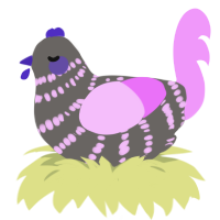 A grey and lavender chicken with a bar pattern