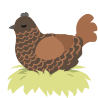 cadbury, a bark and brown chicken with a lace pattern