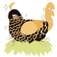 A sable and honey chicken with a lace pattern
