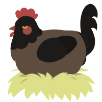Luther, a bark and sable chicken with a head pattern