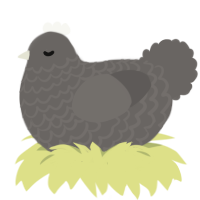 A grey chicken with a lace pattern