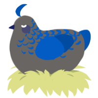 A grey and ultramarine chicken with a half-lace pattern
